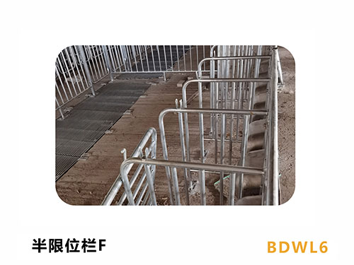 四川养猪场限位栏